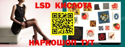 прущие крисы Новодвинск