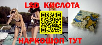 прущие крисы Новодвинск