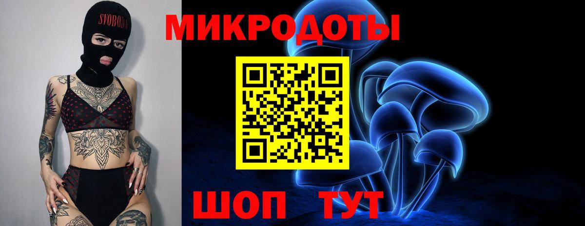 Галлюциногенные грибы MAGIC MUSHROOMS  Вход с VPN  Славгород  Псилоцибиновые грибы мицелий 