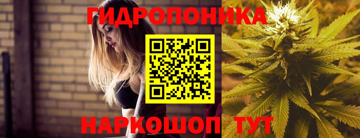 Канабис индика Славгород